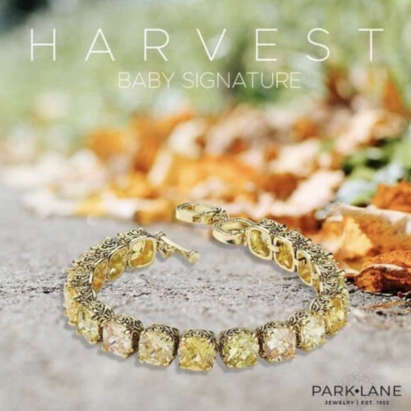 Park Lane Baby Signature Harvest Bracelet – BNWT!! - Picture 2 of 7